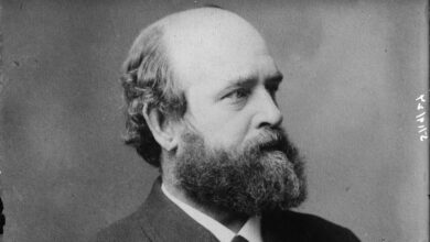 Henry George's *Poverty and Progress* (1881 edition) - The Public Domain Review