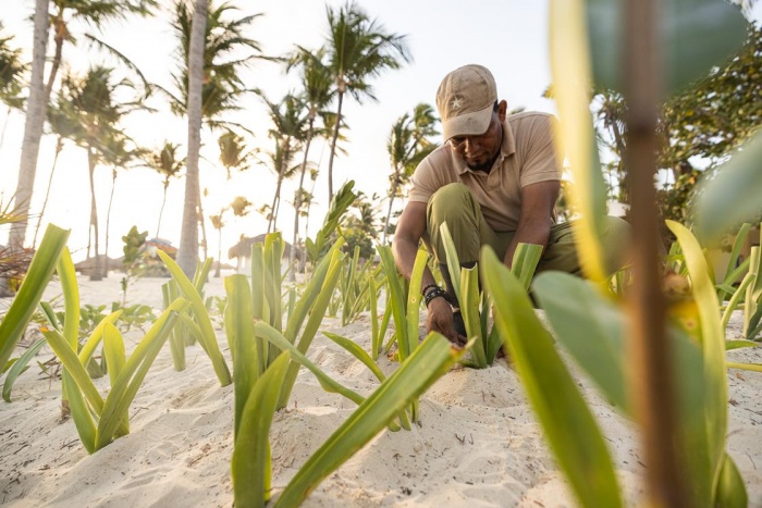 Iberostar Group wins 'World's Leading Marine & Biodiversity Conservation Program' | News