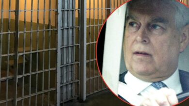 In Andrew Windsor's bare prison cell after he was arrested