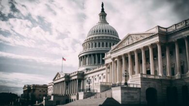 Independent experts are alarmed by violations of children's rights in US immigration proceedings