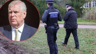 Inside the Andrew Windsor Raid: minute by minute