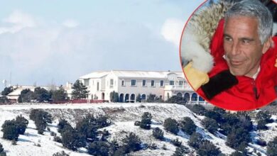 Jeffrey Epstein's 'serial killer' fears erupt during probe