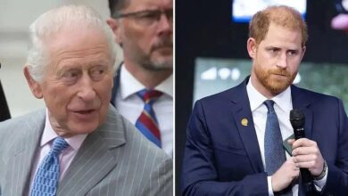 King Charles included a 'Reunion Plea' message to Harry in his new document
