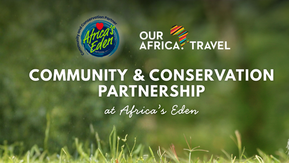 OurAfrica.travel announces new partnership with a purpose | News