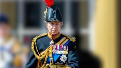 Princess Anne leads the royal family's 'Secretive Back Andrew' campaign