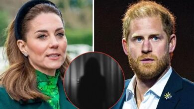 Princess Kate is 'deeply disturbed' by her and Harry's Stalker Terrors