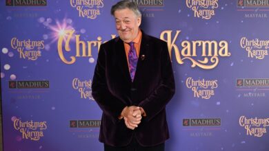 Stephen Fry to star in Fox drama series 'Interrogator'