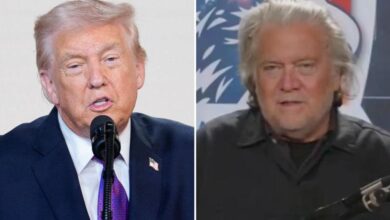 Steve Bannon says MAGA voters 'aren't feeling it' and GOP energy is slipping