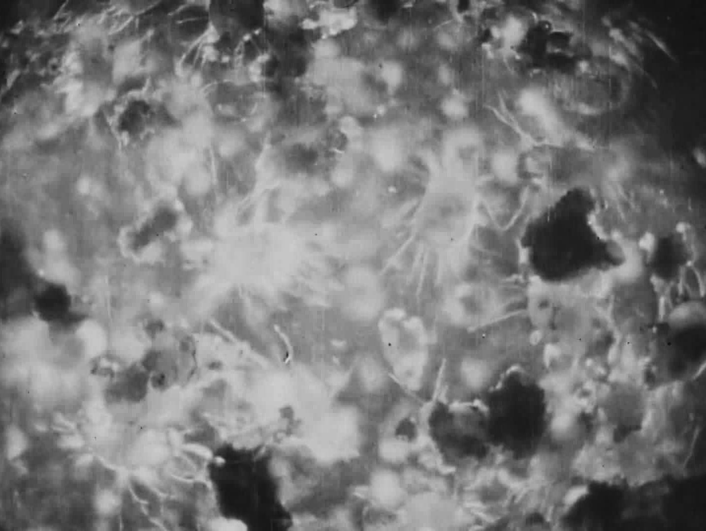 *The Cheese Mites* (1903) - The Public Domain Review