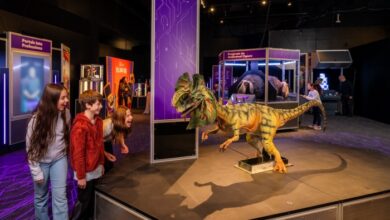 WORLD PREMIER OF UNIVERSAL THEME PARKS: THE EXHIBITION OPENS TODAY AT THE FRANKLIN INSTITUTE | News