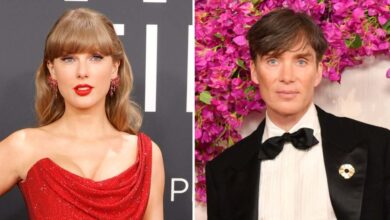 What role does Cillian Murphy play in Taylor Swift's 'Opalite' music video?