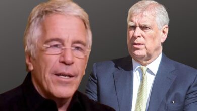 Why Jeffrey Epstein Called Andrew Windsor Pimp And Fixer