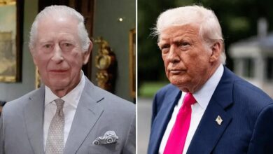 Why King Charles 'despises Donald Trump' revealed