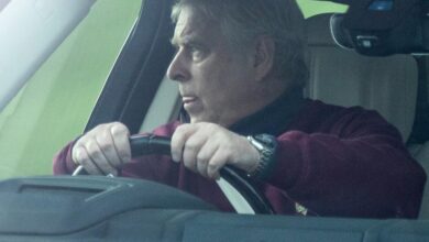 Andrew Windsor in therapy due to fear of house arrest