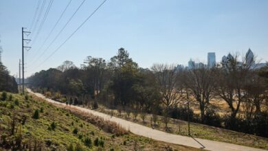 Atlanta Beltline Arboretum will be the world's longest linear arboretum | News