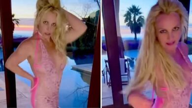 Britney Spears sparked new fears with an X-rated video before her arrest