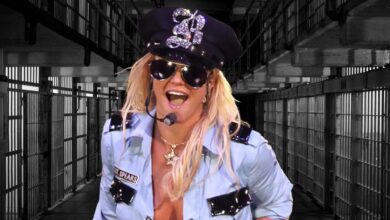 Britney fears 'return to rehab, prison and conservatorship' after arrest