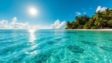 CHTA AND TRIPTEASE ENTERTAIN SECOND ANNUAL DIRECT CARIBBEAN BOOKING STOP IN ANTIGUA & BARBUDA | News