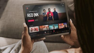 Canal+ Axes MultiChoice Streamer Showmax