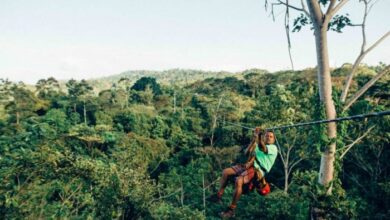 Costa Rica sees travel demand rise as travelers seek nature and adventure-oriented vacations | News