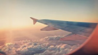 Demand for air travel will more than double by 2050 | News