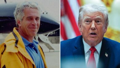 Donald Trump's DOJ is accused of shredding files after his death