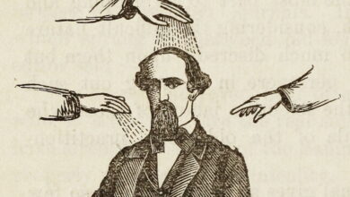 Edward B. Foote's *Plain Home Talk* (1896 edition) - The Public Domain Review