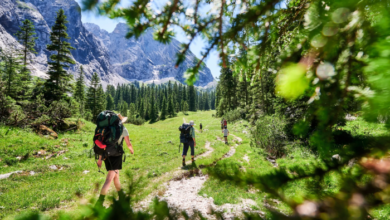 German outbound travel confirms the power of Europe and the rise of cultural-nature destinations | News