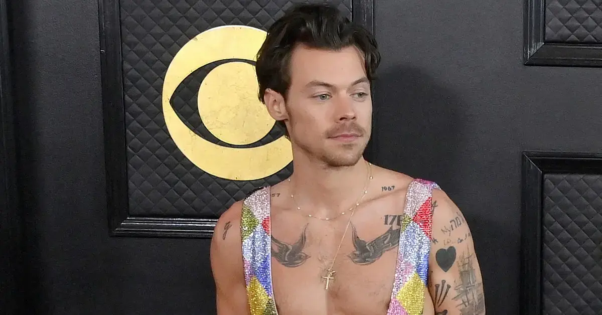 Harry Styles sparks sexuality rumors after confession about private life