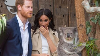 Harry and Meghan's 'Faux Royal' Tour of Australia in Total Shambles
