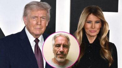 Inside Shock claims Jeffrey Epstein introduced Donald and Melania Trump