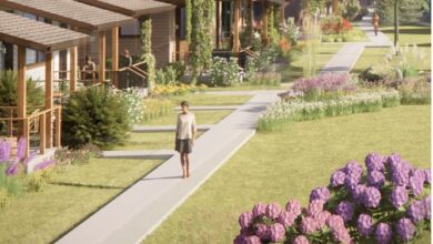 Rooted view in the northwest