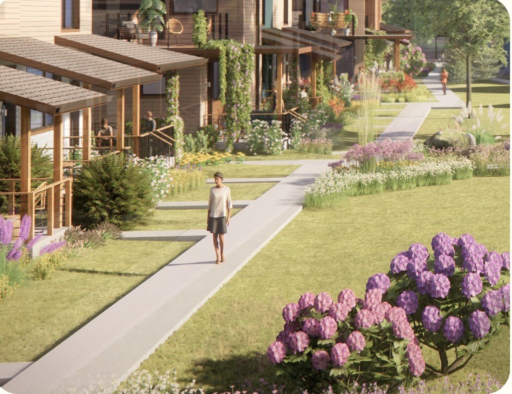 Rooted view in the northwest