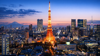 JAPOW, Power & the Next 20 Years: WiT Japan Returns to Tokyo Amid Record Inbound Growth | News
