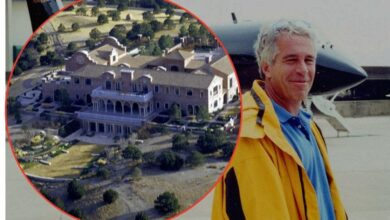 Jeffrey Epstein Ranch Probe: Police Hunt for Female Corpses