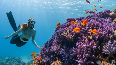 Multi-day tours enter a new phase of growth as operators shift to smaller groups | News