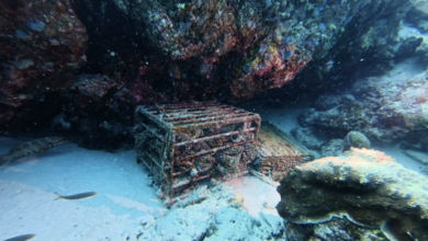 NH Collection Maldives Reethi unveils world's first certified underwater-aged rum from a resort | News