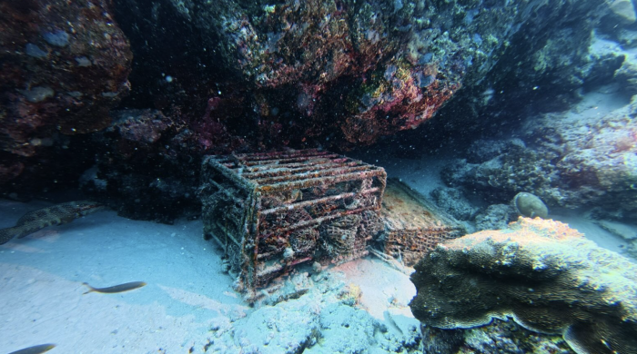 NH Collection Maldives Reethi unveils world's first certified underwater-aged rum from a resort | News