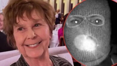 Nancy Guthrie was 'injured' not 'killed' during kidnapping, ex-FBI agent suggests