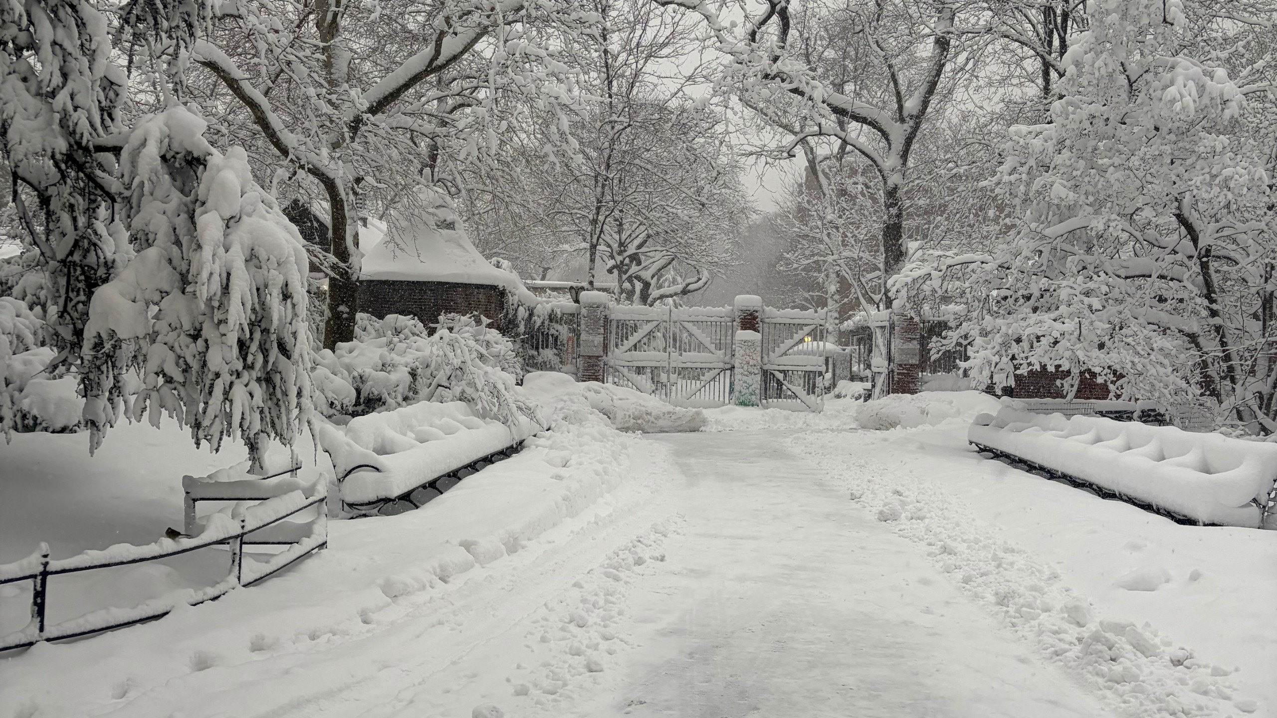 On Monday, February 23, 2026, at least 18 inches of snow fell in Central Park