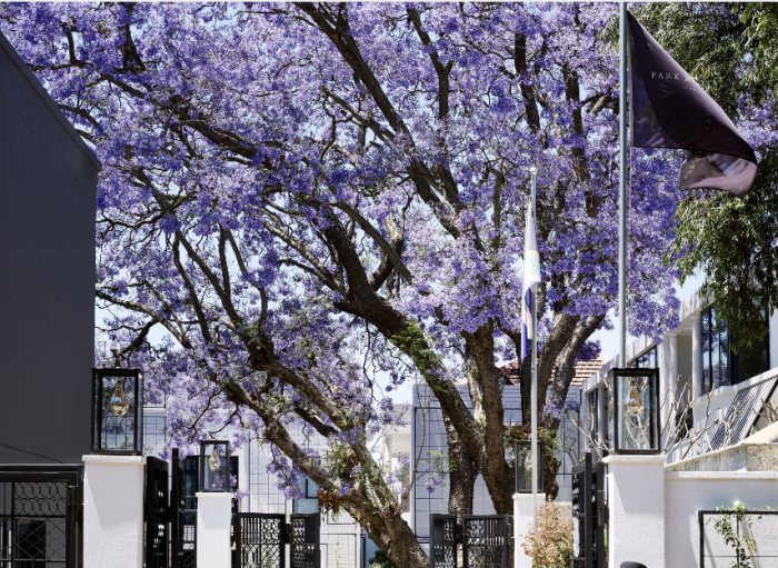 Park Hyatt Johannesburg named one of the 'World's Greatest Places' | News