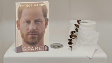 Prince Harry ridiculed as memoir is called 'Top Toilet Book'