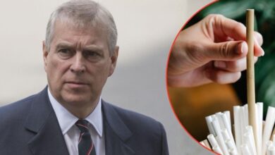 Royal staff 'Drew Straws' to decide 'who would serve' Andrew Windsor