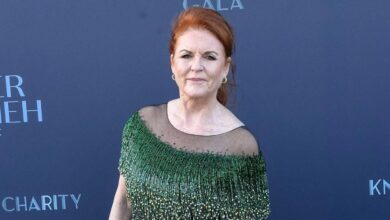 Sarah Ferguson 'on the run' as she 'confronts Epstein grilling'