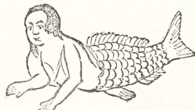 *Sea Monsters Unmasked* and *Sea Fables Explained* by Henry Lee (1883) — The Public Domain Review