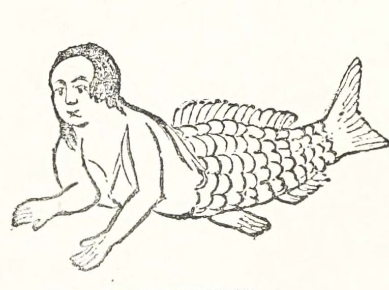 *Sea Monsters Unmasked* and *Sea Fables Explained* by Henry Lee (1883) — The Public Domain Review