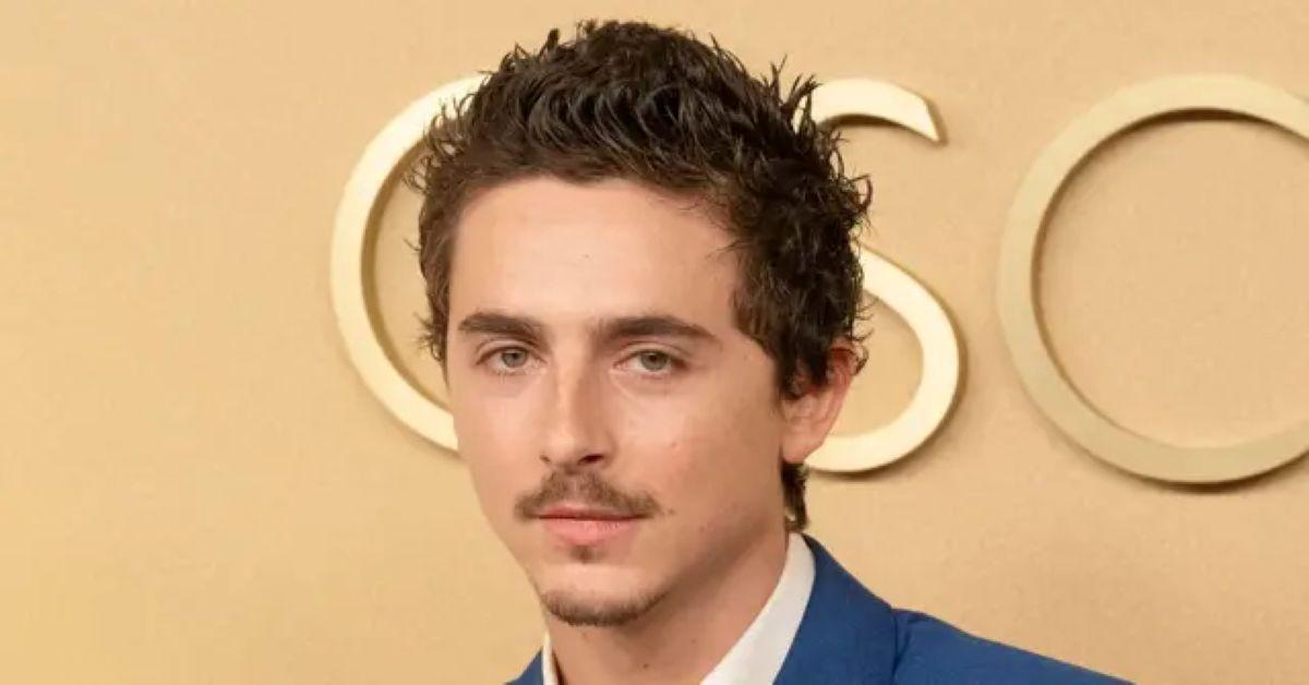 Timothée Chalamet 'considered skipping the Oscars red carpet' amid backlash