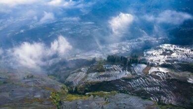 Visitors become entrepreneurs, discover opportunities in Yunnan | News