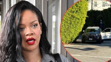 Woman arrested for shooting at Rihanna's mansion while inside