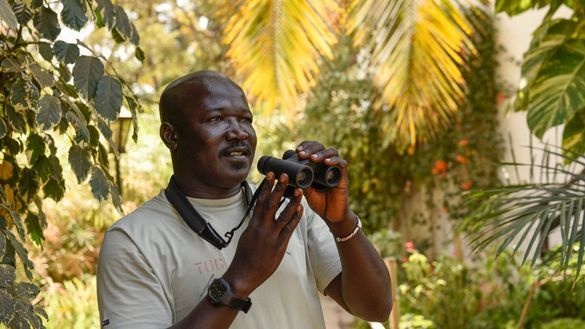 World Wildlife Day: Discover the nature of Gambia | News
